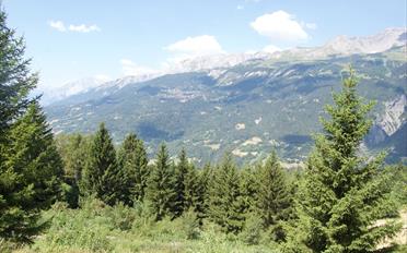 Chalet - image - 10