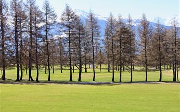 Apartment 4.5 rooms - image - 7