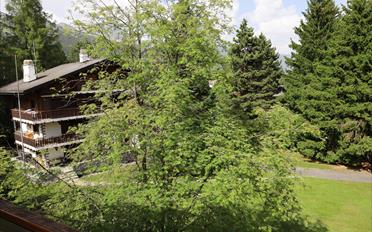 Attic flat 5.5 rooms - image - 25