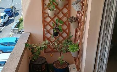 Wohnung 3 Zimmer - image - 5