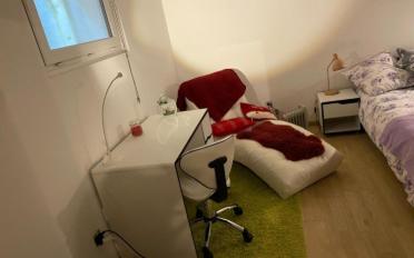 Single room 1 room - image - 5