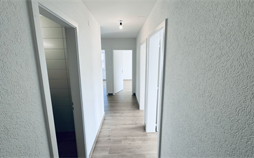 Wohnung 3.5 Zimmer - image - 2