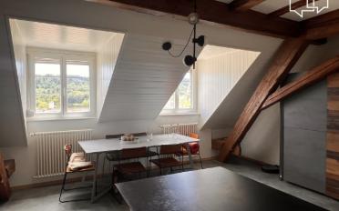 Attic 3 rooms - image - 4