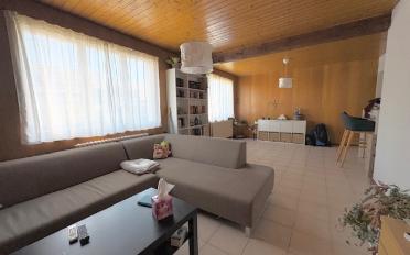 Wohnung 2.5 Zimmer - image - 1