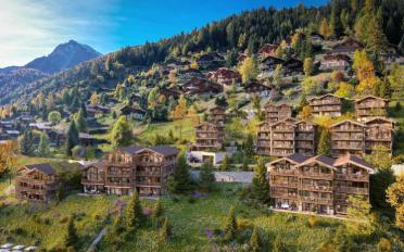 Chalet 5.5 pièces - image - 2