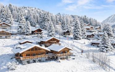 Chalet 10 pièces - image - 1