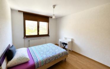 Wohnung 4.5 Zimmer - image - 4
