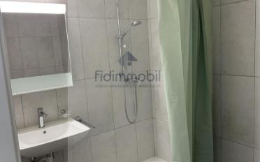 Apartment 1 room - image - 4