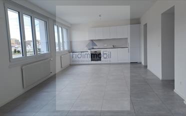 Wohnung 2.5 Zimmer - image - 1