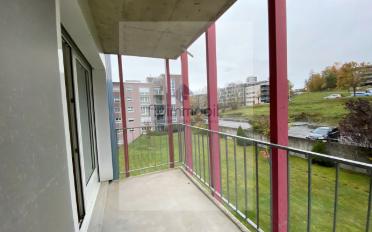 Wohnung 2.5 Zimmer - image - 10