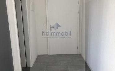 Apartment 2.5 rooms - image - 6