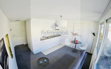 Studio 1 pièce - image - 1