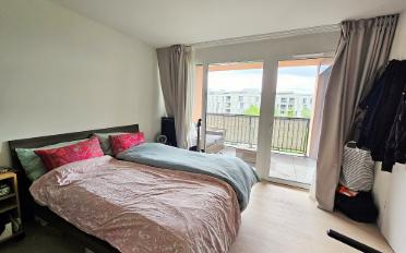 Wohnung 2.5 Zimmer - image - 3