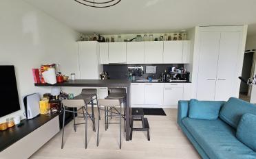 Wohnung 2.5 Zimmer - image - 4