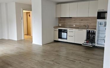 Appartement 2.5 pièces - image - 1