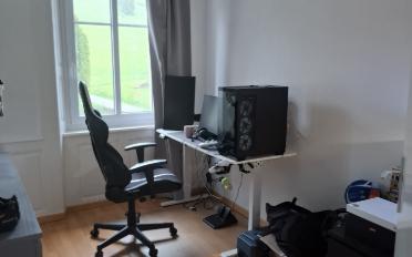 Appartement 4.5 pièces - image - 4