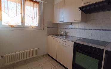 Wohnung 2.5 Zimmer - image - 2