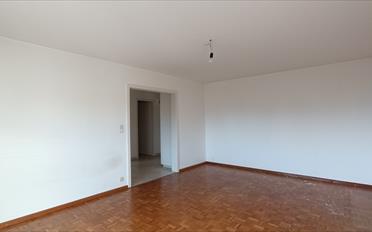 Wohnung 2.5 Zimmer - image - 4