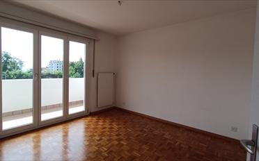 Wohnung 2.5 Zimmer - image - 5