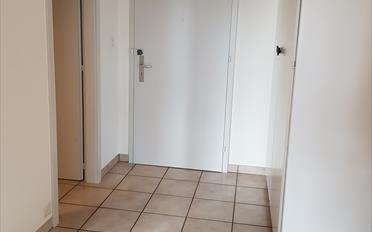 Wohnung 2.5 Zimmer - image - 6