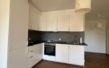 Wohnung 2.5 Zimmer - image - 2