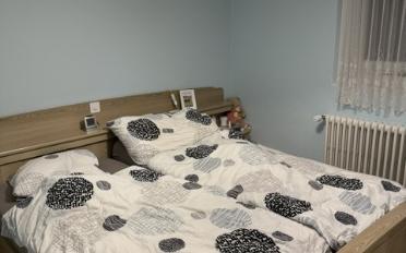 Einfamilienhaus 4.5 Zimmer - image - 3