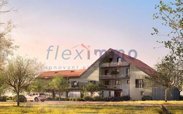 Duplex 5.5 pièces - image - 1