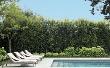 Villa 10 rooms - image - 1