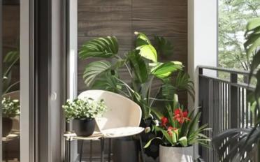 Terrassenwohnung 5.5 Zimmer - image - 1