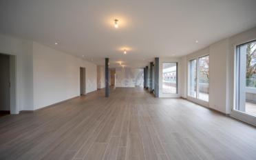 Apartment 7 rooms - image - 2