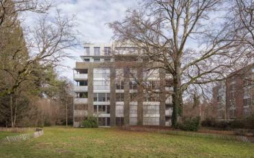 Apartment 7 rooms - image - 10