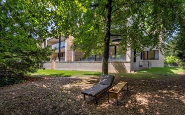 Apartment 9 rooms - image - 9