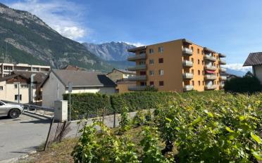 Wohnung 3.5 Zimmer - image - 4