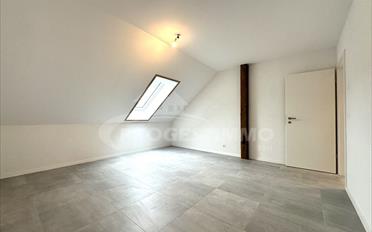 Wohnung 2.5 Zimmer - image - 12