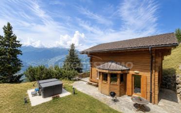 Chalet 4.5 Zimmer - image - 1