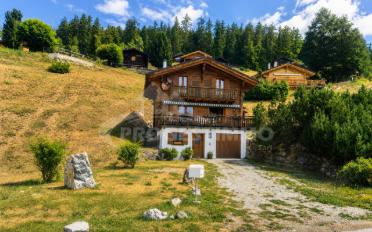 Chalet 4.5 Zimmer - image - 10