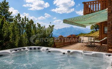 Chalet 4.5 rooms - image - 1