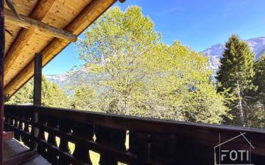 Chalet 7.5 Zimmer - image - 5