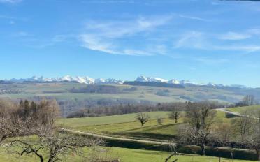 Row house 7 rooms - image - 18