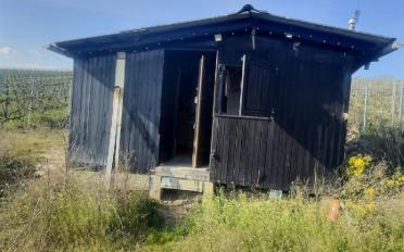 Maison 1 pièce - image - 2