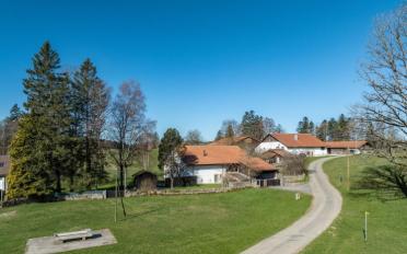 Single house 7 rooms - image - 3