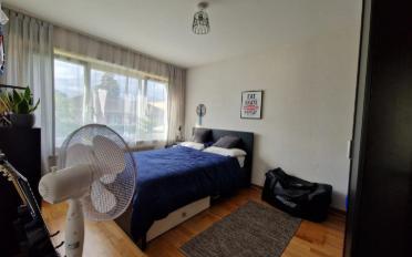 Maison 8 pièces - image - 9