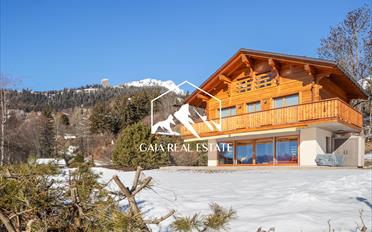 Chalet 4.5 Zimmer - image - 1