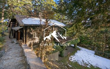 Chalet 7 pièces - image - 2