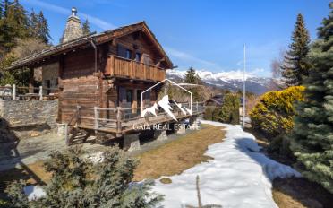 Chalet 12.5 rooms - image - 19