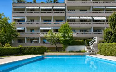 Appartement meublé 1 pièce - image - 5