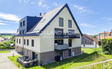 Wohnung 3.5 Zimmer - image - 1
