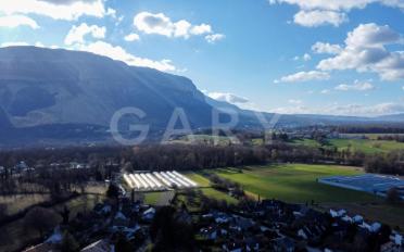 Single house - image - 9