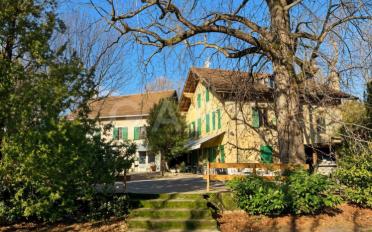 Single house - image - 3