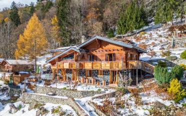 Chalet 7 rooms - image - 2
